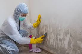 Best Emergency Mold Remediation  in St George, KS